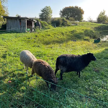 Raabe Splietsdorf